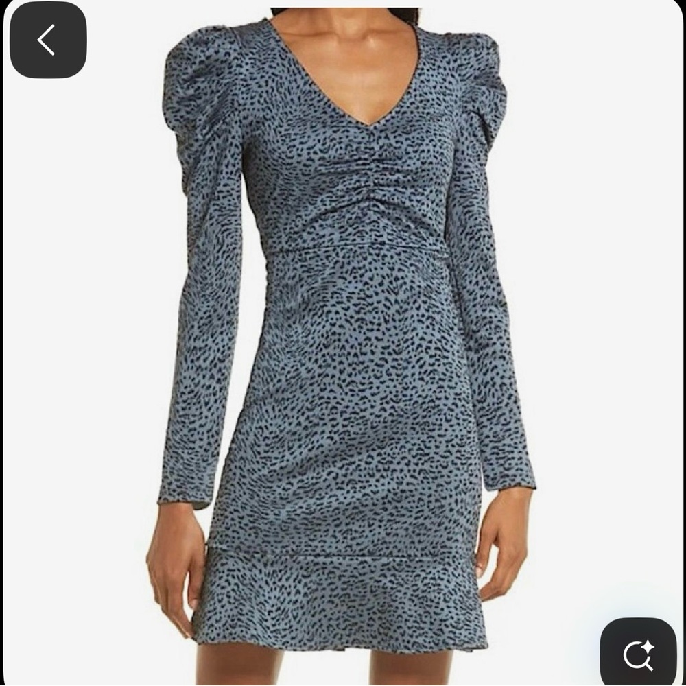 Chelsea28 Blue Leopard Print Ruched V-Neck Mini Dress Large